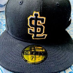 Salt lake bees fitted cap